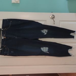 Lane Bryant distressed jeans, women's size 20